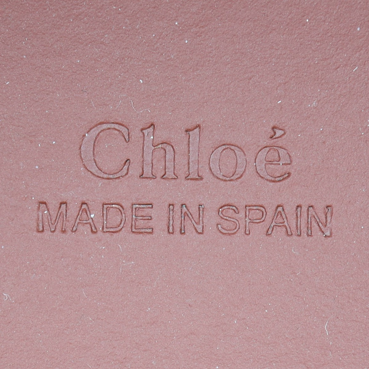 Chloe Darryl Mini Crossbody Interior Stamp