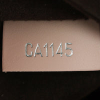 Louis Vuitton Cluny BB Epi