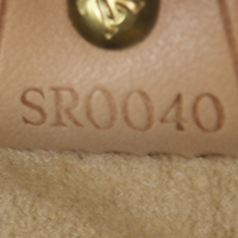 Louis Vuitton Luco Tote Monogram