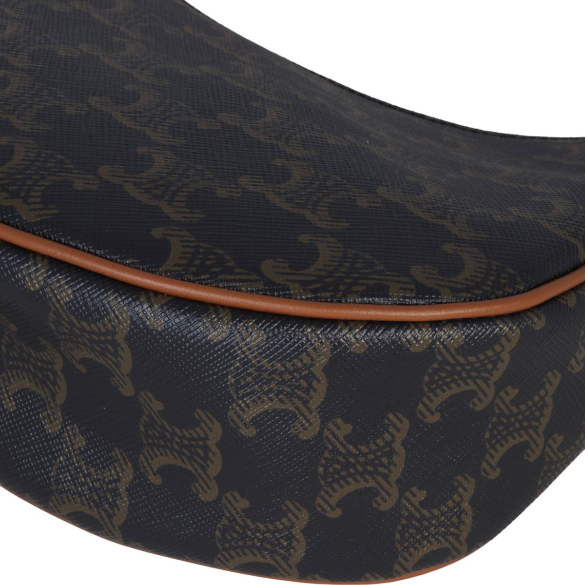 Celine Ava Triomphe Hobo