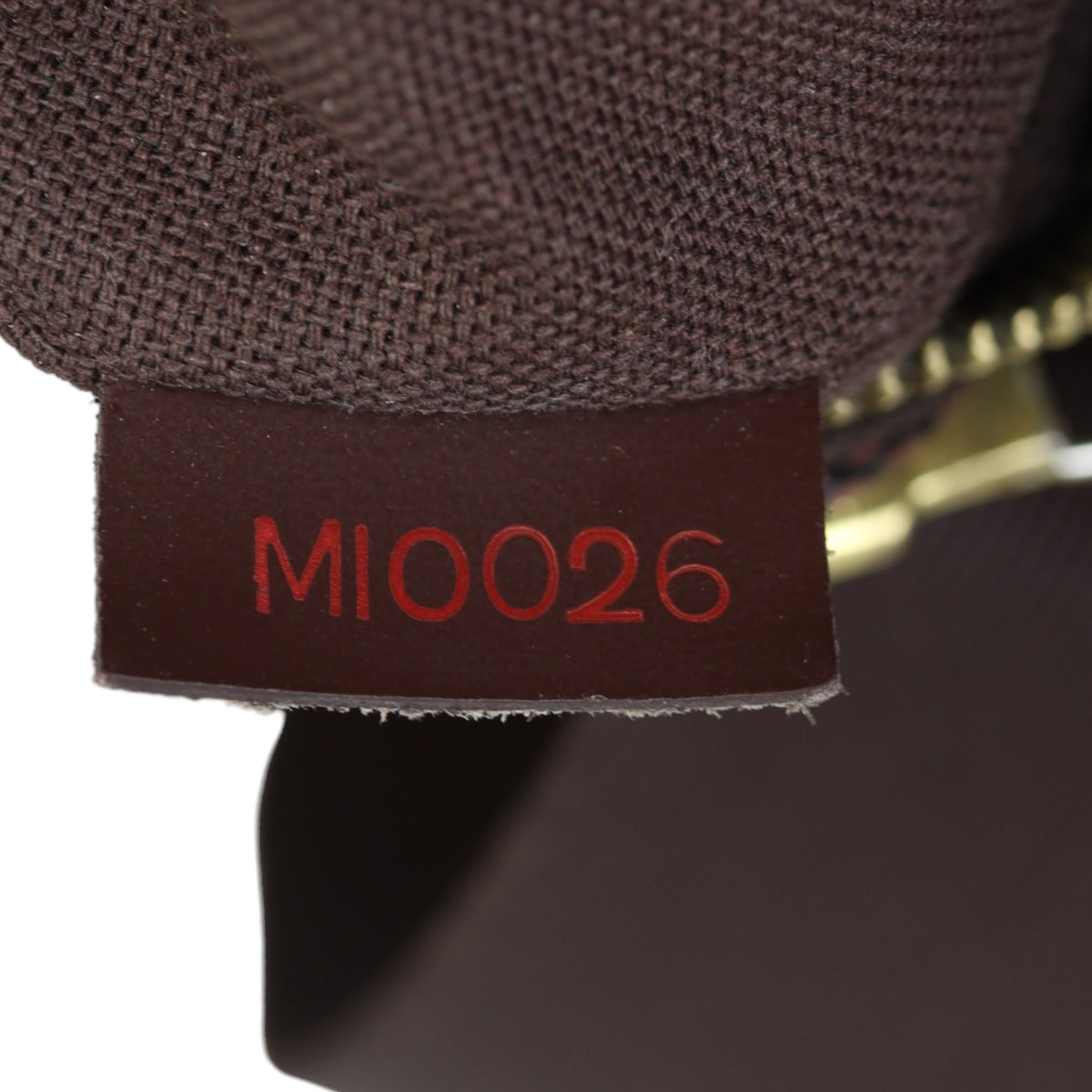 Louis Vuitton Olav PM Damier Ebene