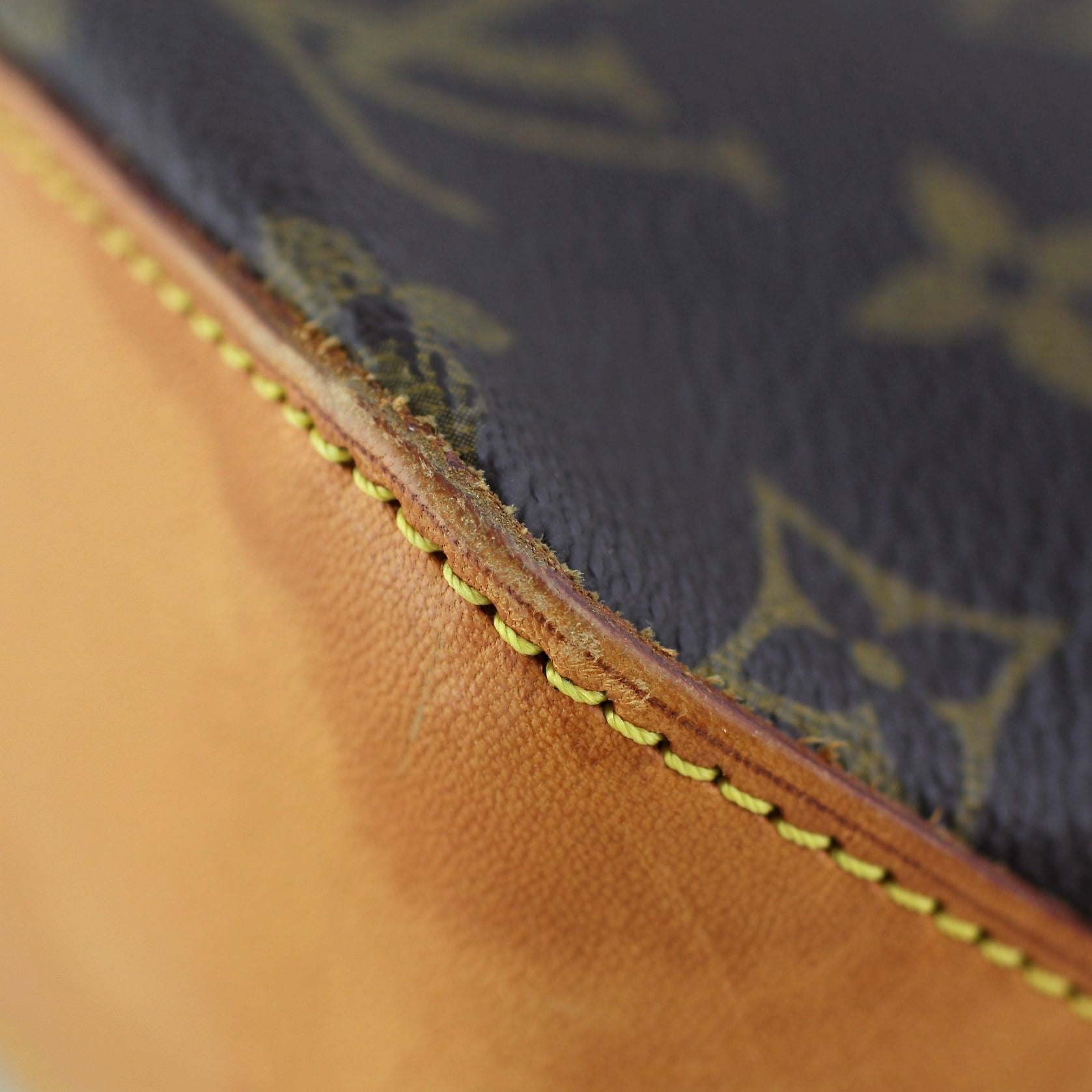 Louis Vuitton Trotteur Monogram wear