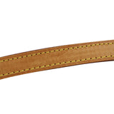 Louis Vuitton Trotteur Monogram wear