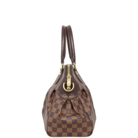 Louis Vuitton Trevi PM Damier Ebene