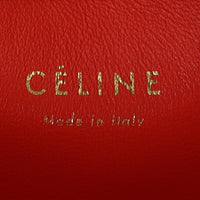 Celine Phantom Luggage Tote Medium Python