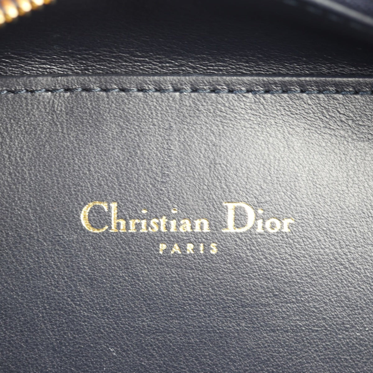Dior CD Signature Oval Camera Bag