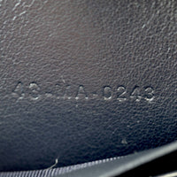 Dior CD Signature Oval Camera Bag