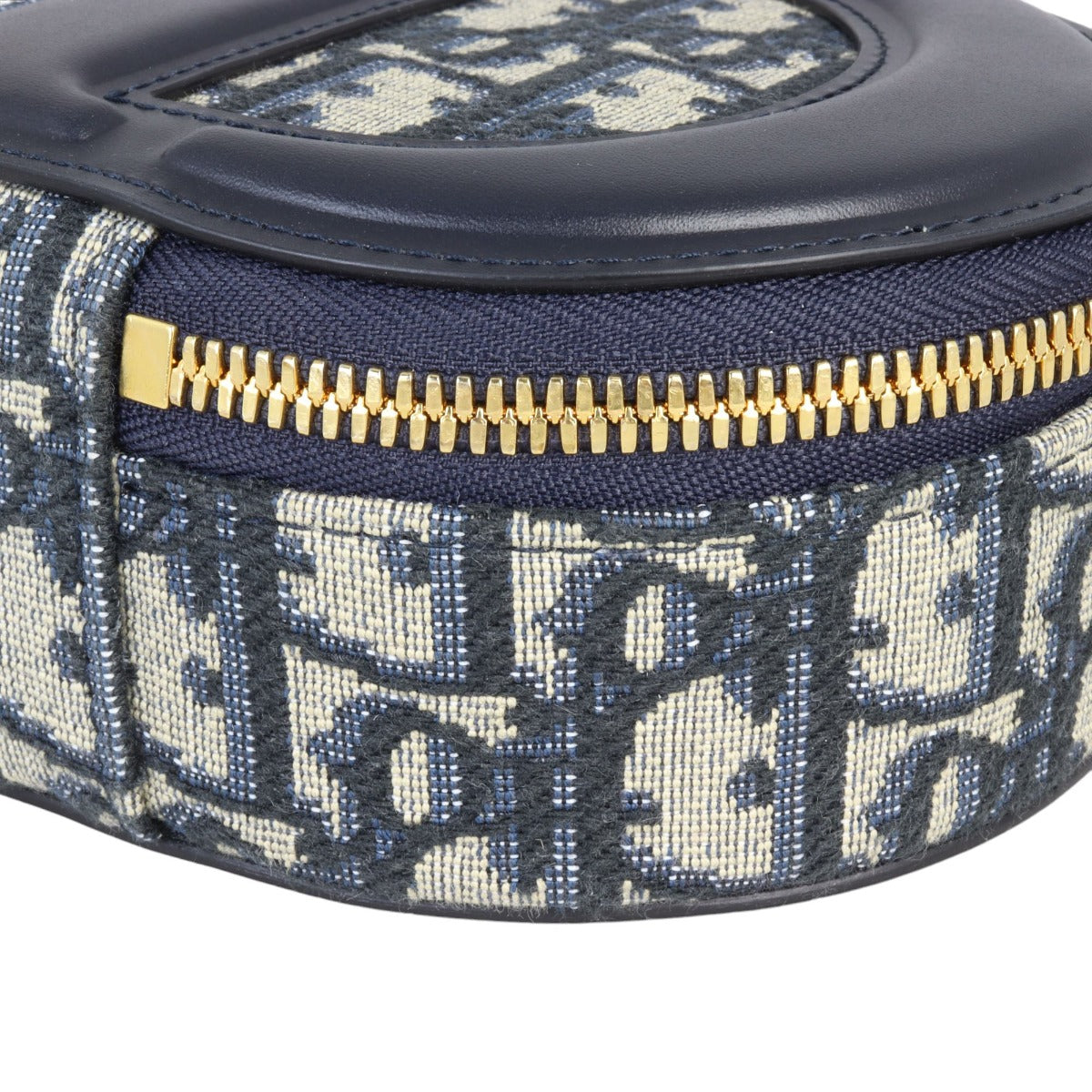 Dior CD Signature Oval Camera Bag