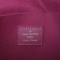Louis Vuitton Pochette Felicie Monogram