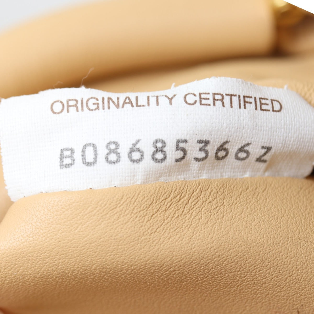 Bottega Veneta The Mini Pouch