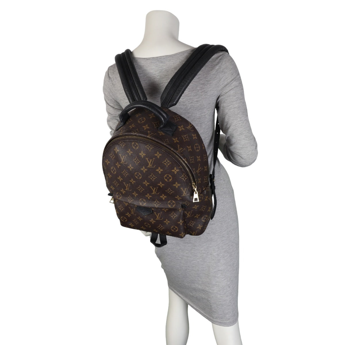 Louis Vuitton Palm Springs Backpack MM Monogram