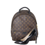 Louis Vuitton Palm Springs Backpack MM Monogram