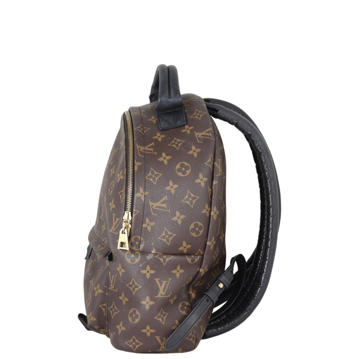 Louis Vuitton Palm Springs Backpack MM Monogram