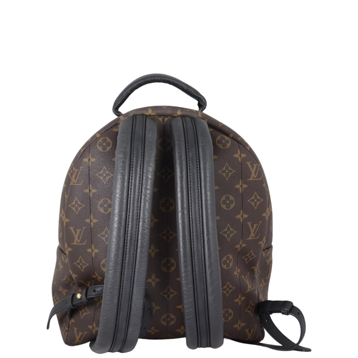 Louis Vuitton Palm Springs Backpack MM Monogram