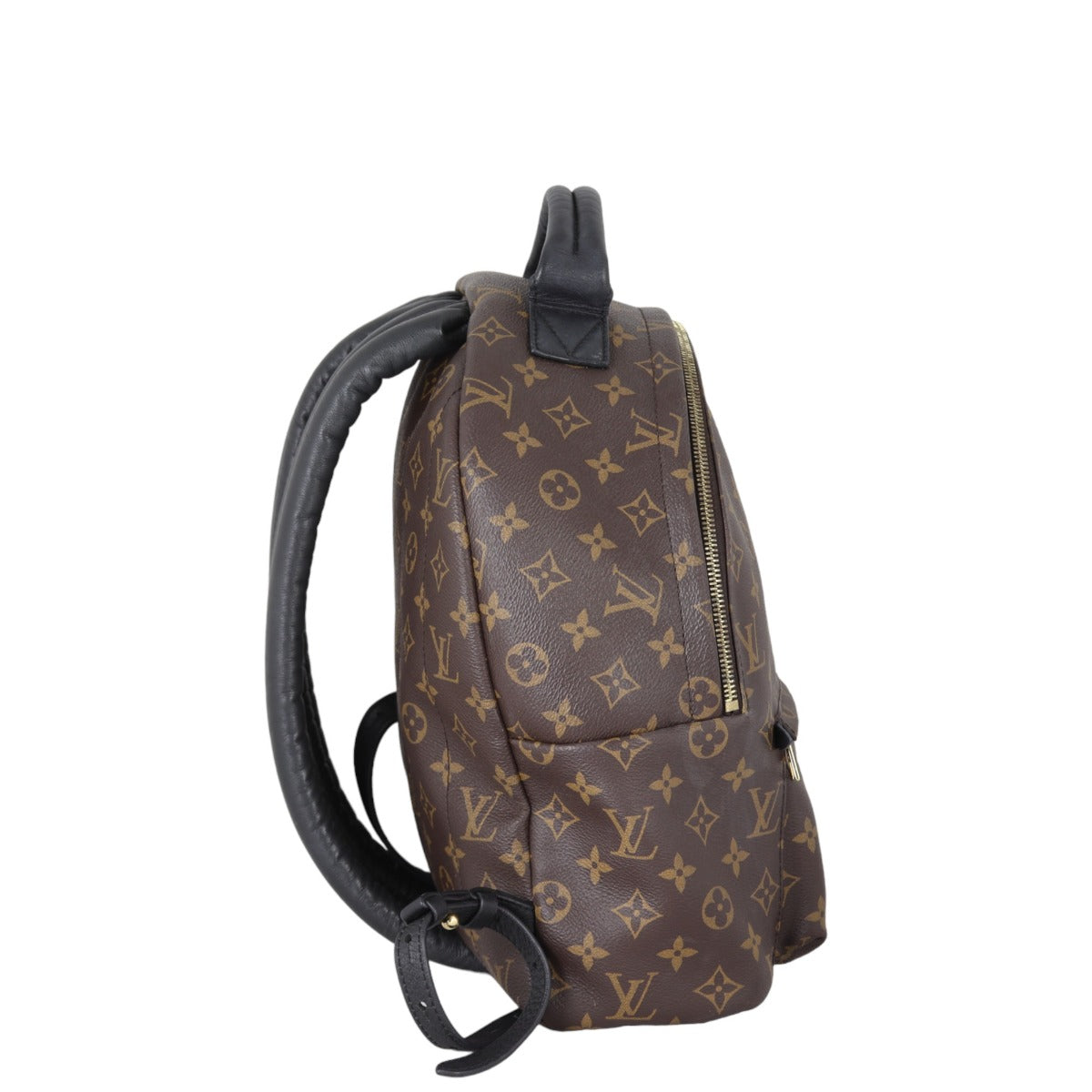 Louis Vuitton Palm Springs Backpack MM Monogram