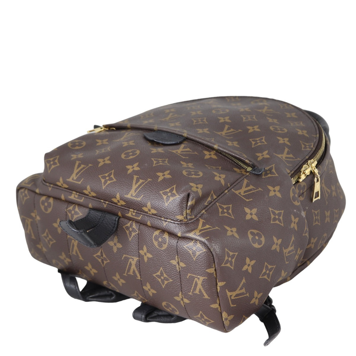 Louis Vuitton Palm Springs Backpack MM Monogram