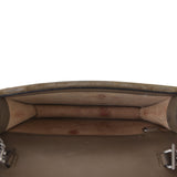 Gucci Dionysus GG Supreme Super Mini Bag