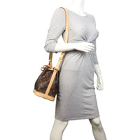 Louis Vuitton Noe BB Monogram