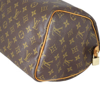 Louis Vuitton Speedy 30 Monogram