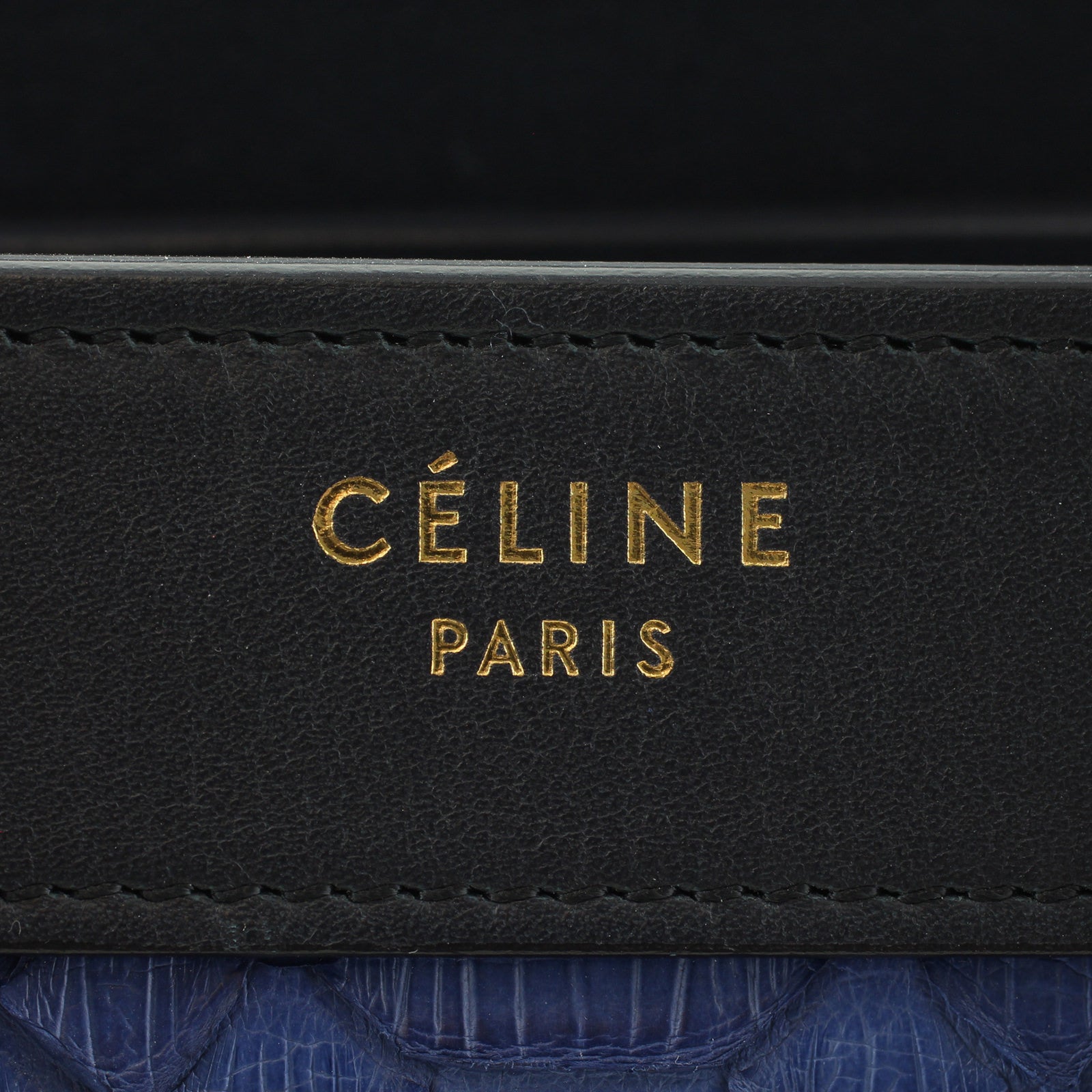 Celine Nano Luggage Tote Python Logo