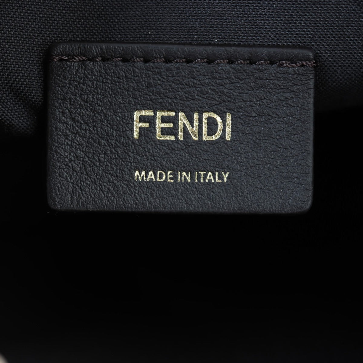 Fendi Fendigraphy Small