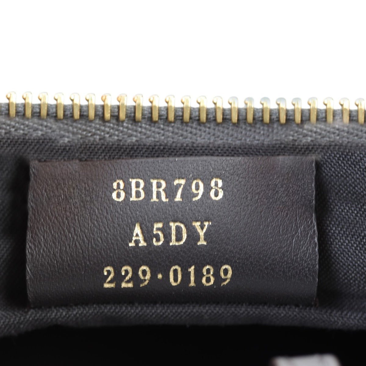 Fendi Fendigraphy Small