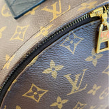 Louis Vuitton Palm Springs Backpack MM Monogram