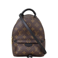 Louis Vuitton Palm Springs Mini Backpack Monogram