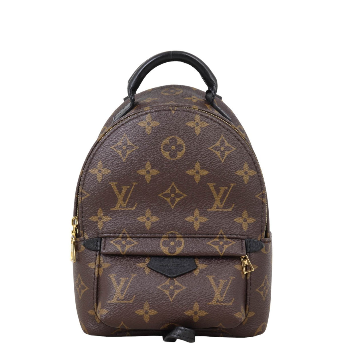 Louis Vuitton Palm Springs Mini Backpack Monogram