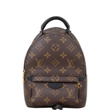 Louis Vuitton Palm Springs Mini Backpack Monogram