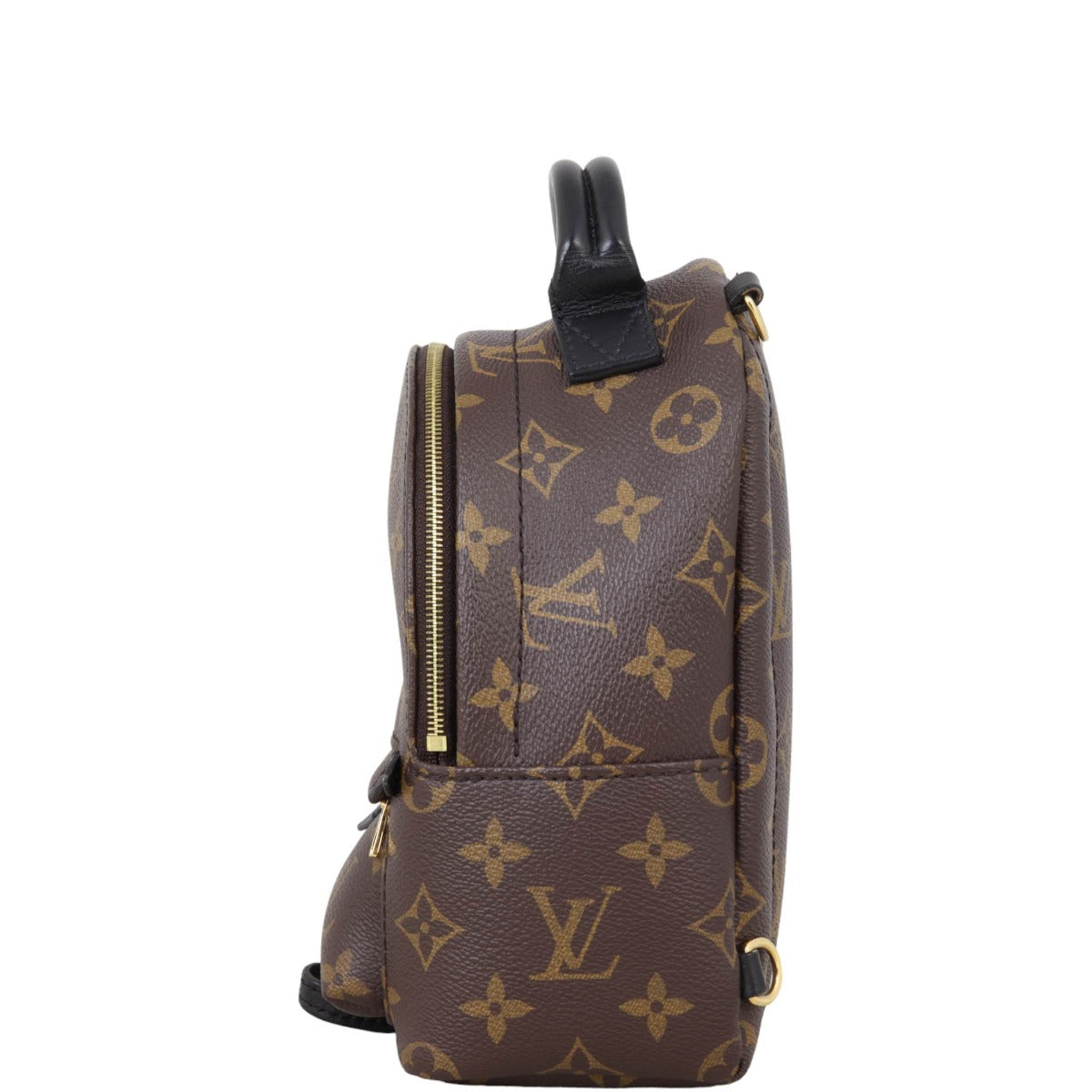 Louis Vuitton Palm Springs Mini Backpack Monogram
