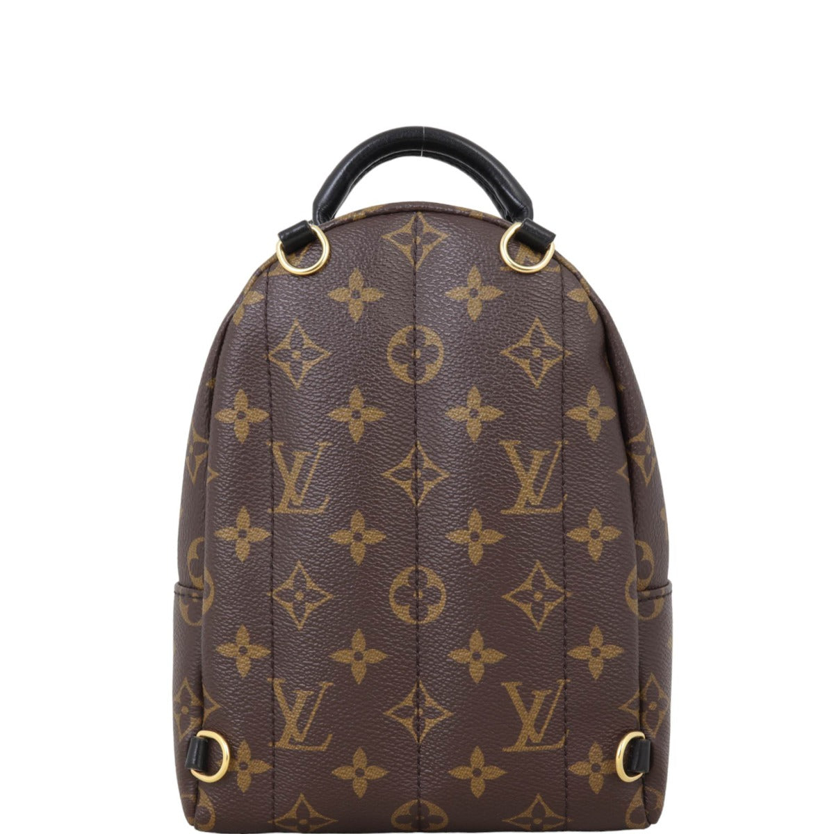 Louis Vuitton Palm Springs Mini Backpack Monogram