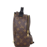 Louis Vuitton Palm Springs Mini Backpack Monogram
