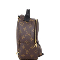 Louis Vuitton Palm Springs Mini Backpack Monogram