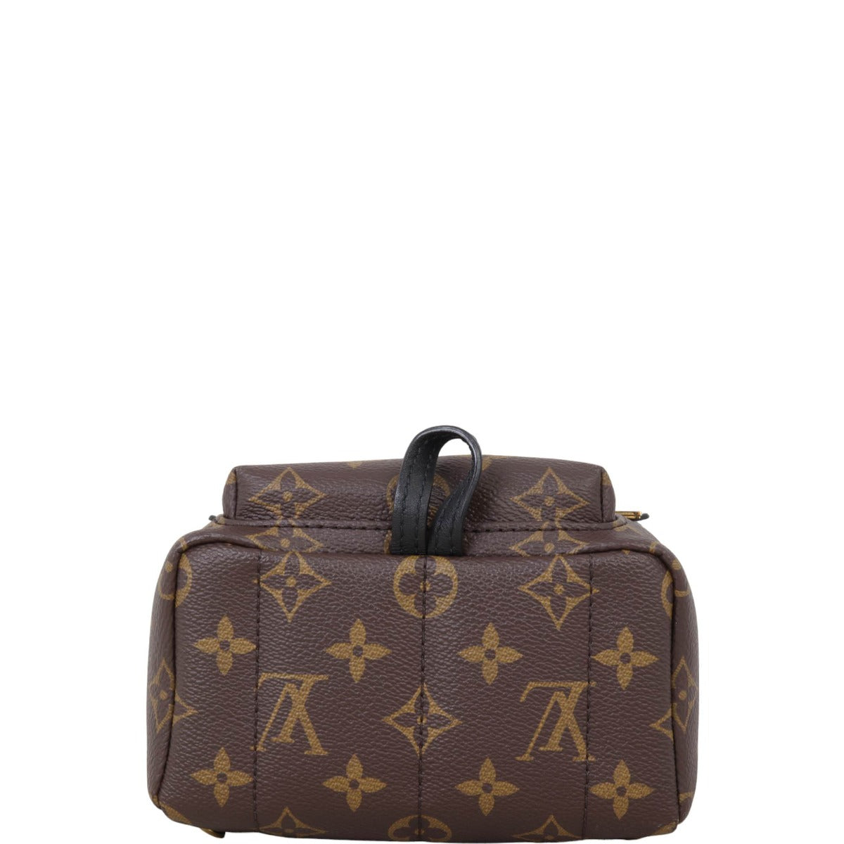 Louis Vuitton Palm Springs Mini Backpack Monogram