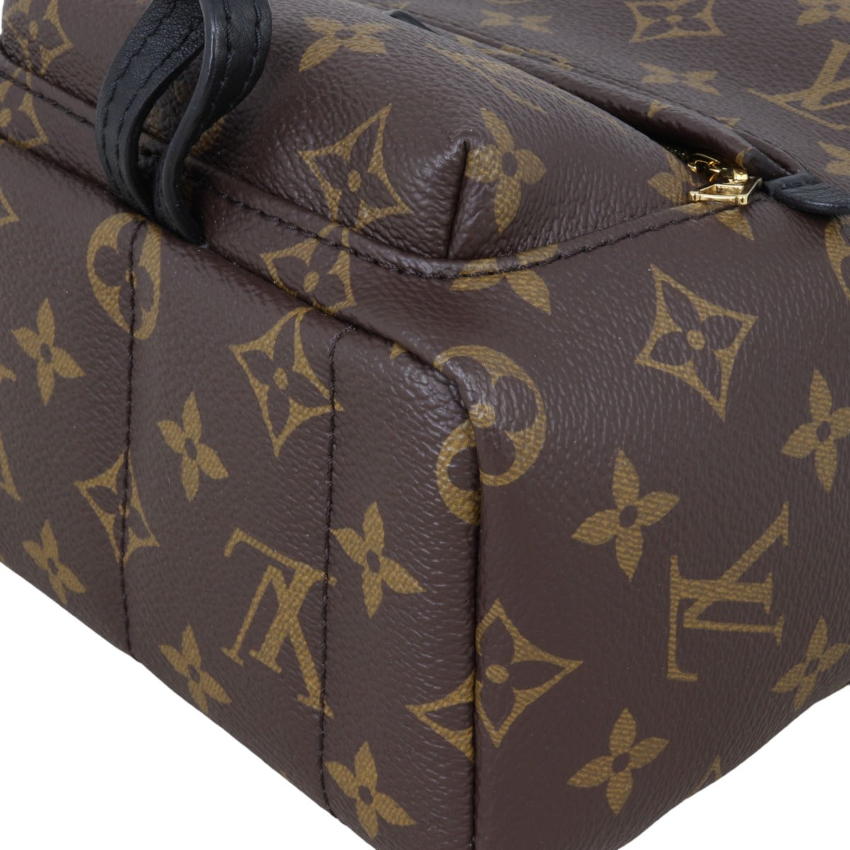 Louis Vuitton Palm Springs Mini Backpack Monogram