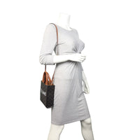 Celine Triomphe Vertical Cabas Tote Mini