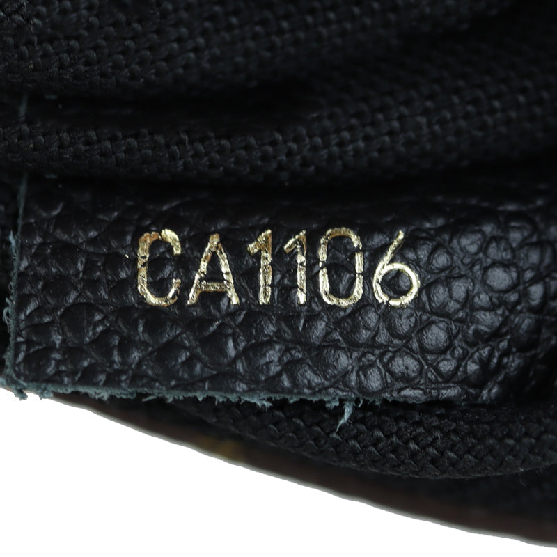 Louis Vuitton Pallas Crossbody Monogram