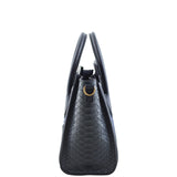 Celine Nano Luggage Tote Python Left