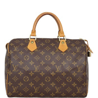 Louis Vuitton Speedy 30 Monogram