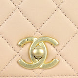 Chanel Pearl Chain Flap Bag Mini