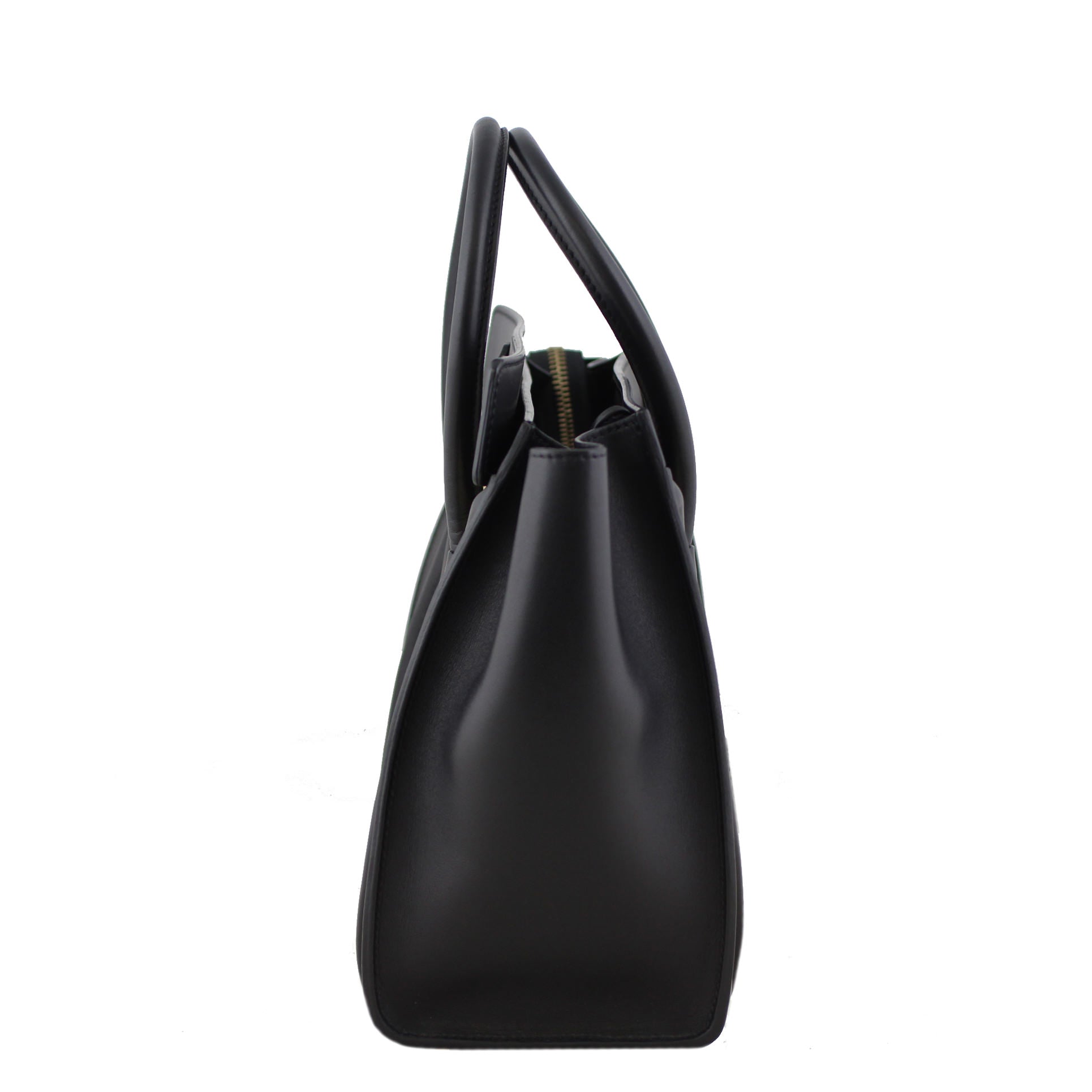 Celine Micro Luggage Tote Python side