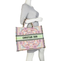 Dior Book Tote Large Embroidered Lights