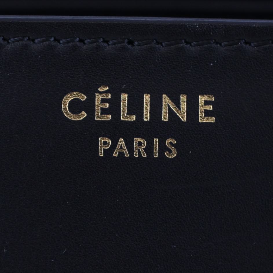 Celine Micro Luggage Tote Python Stamp