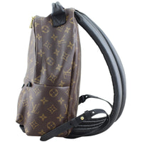 Louis Vuitton Palm Springs Mini Backpack Left