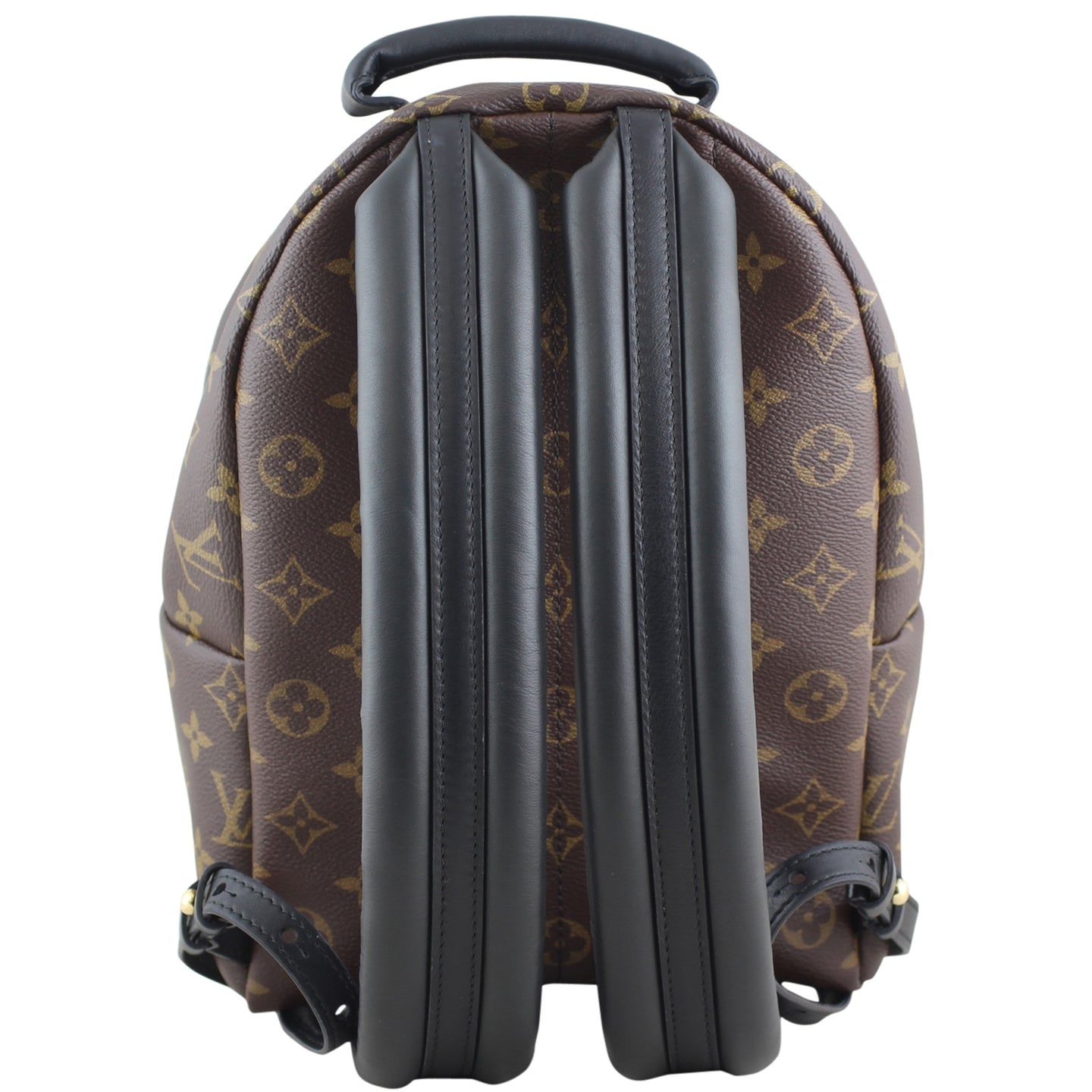 Louis Vuitton Palm Springs Mini Backpack Back