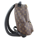 Louis Vuitton Palm Springs Mini Backpack Right
