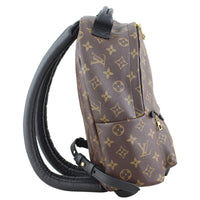 Louis Vuitton Palm Springs Mini Backpack Right