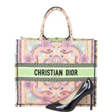 Dior Book Tote Large Embroidered Lights