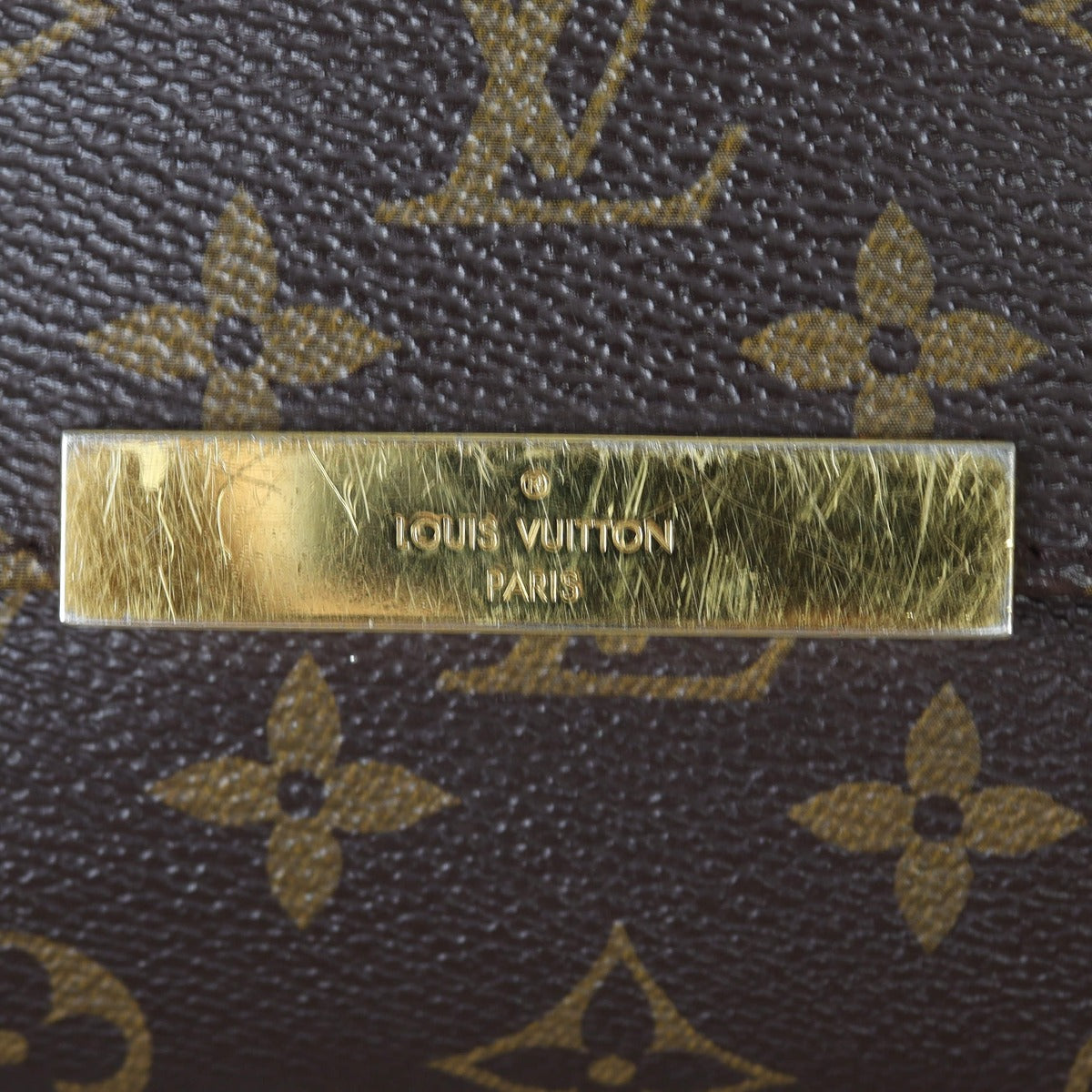 Louis Vuitton Favorite MM Monogram Hardware